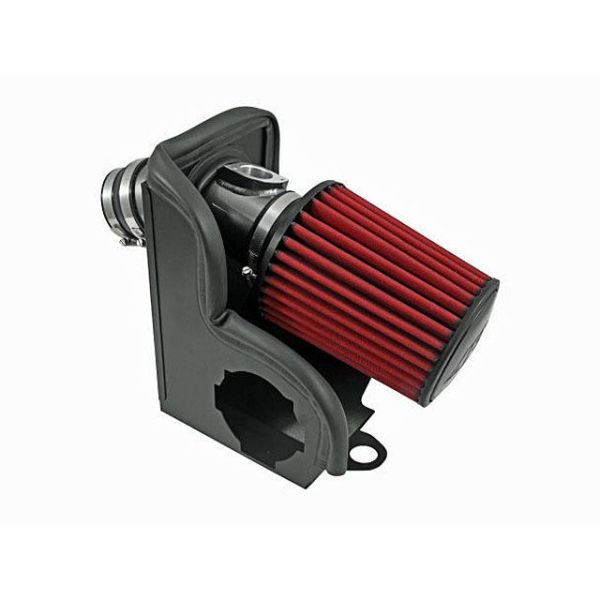 AEM Cold Air Intake